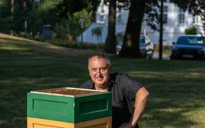 Ule w&nbsp;parku przy ulicy Rybnickiej