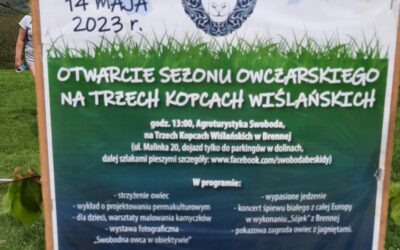 Otwarcie sezonu owczarskiego na&nbsp;Trzech Kopcach Wiślańskich Brenna 14.05.2023&nbsp;r.