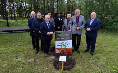 Dąb Pokoju – Boronów 26.09.2025r.